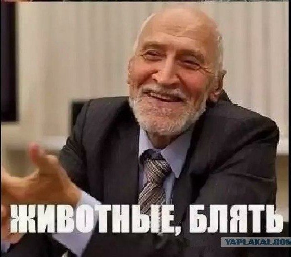 Чудики из социальных сетей 20.02.21