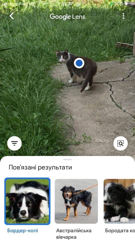 Всяческие картинки 16.06.2021