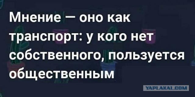 Умер ведущий РенТВ Алексей Каминанте