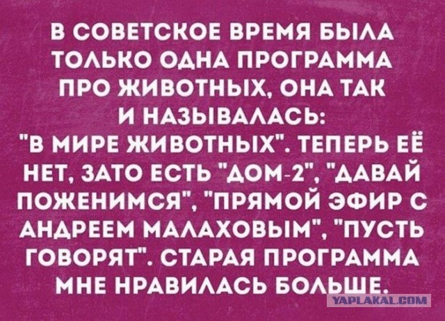 Не важно сколько у неё было, главное быть лучшим?
