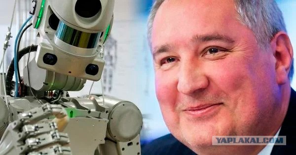 В Миссури (США) робопес похвастался своими танцами вместе с чирлидершами и не разочаровал зрителей