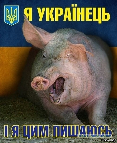 Глава ДНР заявил о реальной перспективе военных действий с Украиной