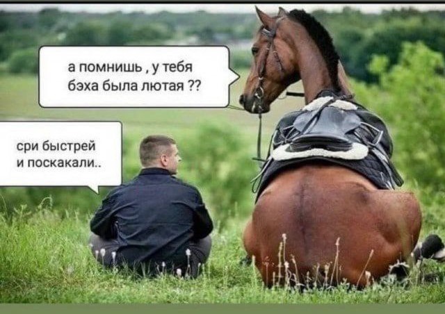 Росстандарт хочет запретить иномарки в России