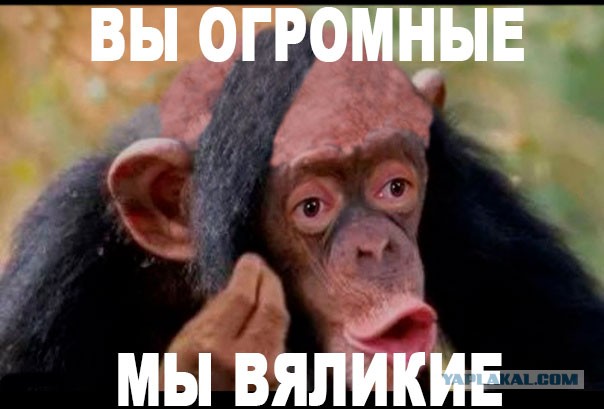На посла РФ в Польше совершено нападение