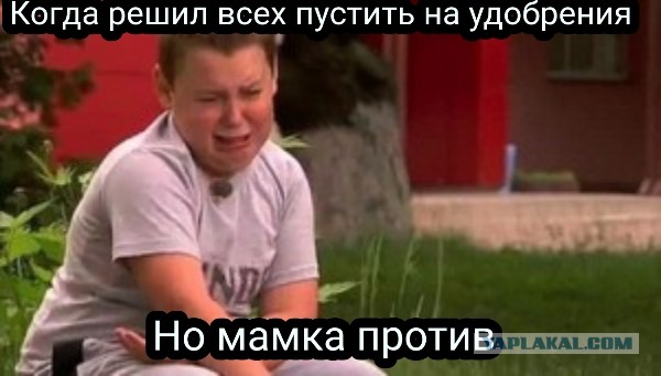 Желая показать свою любовь к животным " зоозащитники" дали собакам возможность нападать на людей.