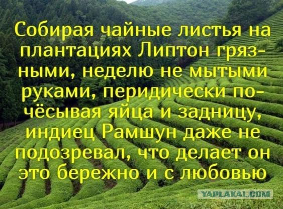 Картинки и мемы, всяко разно - 171