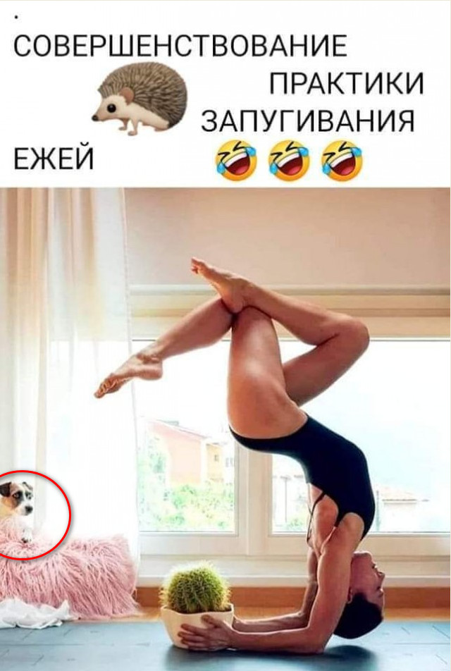 Картинок пост 2