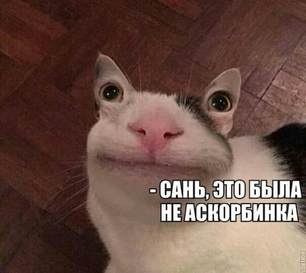 Подборка самых баянистых баянов! Ностальгируем...