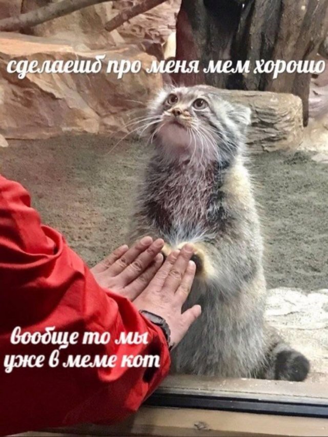 Картинки и мемы, всяко разно - 181