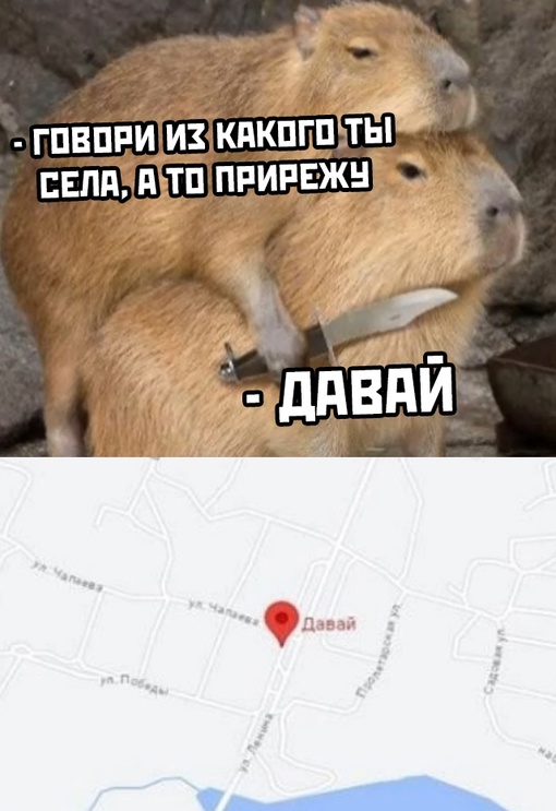 Забавные комментарии из социальных сетей (17.07.23)