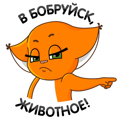 В Бобруйске 62-летняя пенсионерка организовала порностудию — и иногда снималась сама