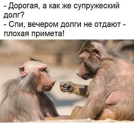 Бояны 6-ти летней выдержки