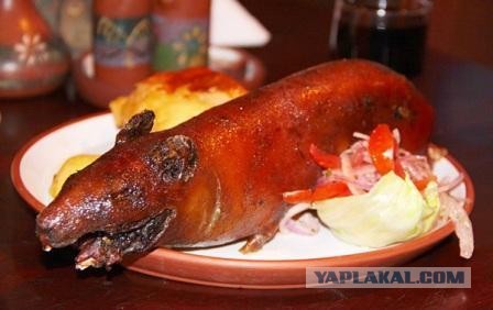 Капибары заполонили бразильский город Кампу-Гранди