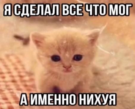 Всего понемногу. От 27.06.2024