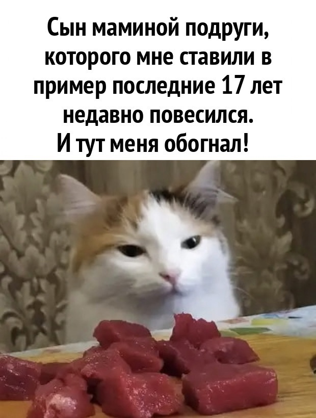 Сборник бабаянов или неожиданная помойка