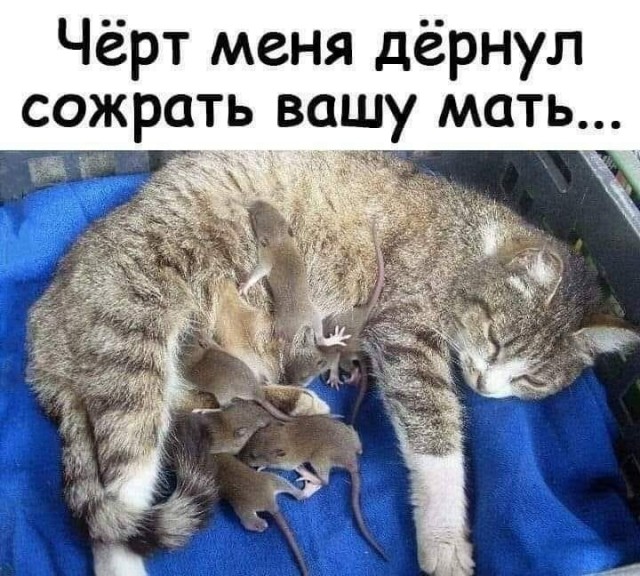 БаянЫ 3