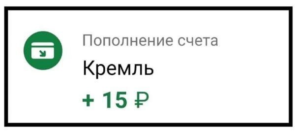 Дети на квадроцикле сбили двух женщин в Солнечногорске