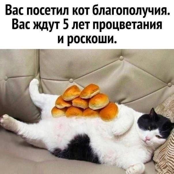 ТРРРидцать тРРРи от 29 августа