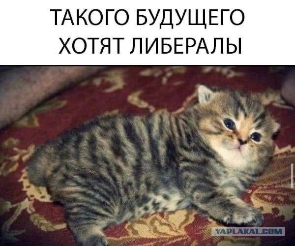 Веселое настроение в картинках (01.10.2025)