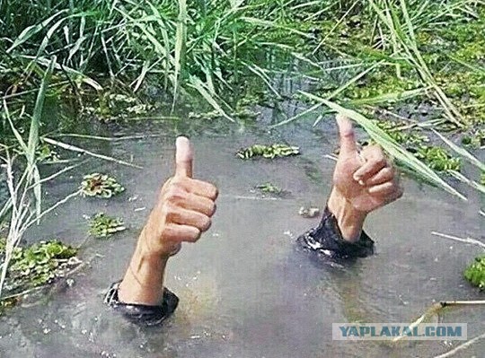 Корейская криптобиржа случайно раздала своим пользователям 2 тысячи биткоинов или 10,5 миллиардов рублей