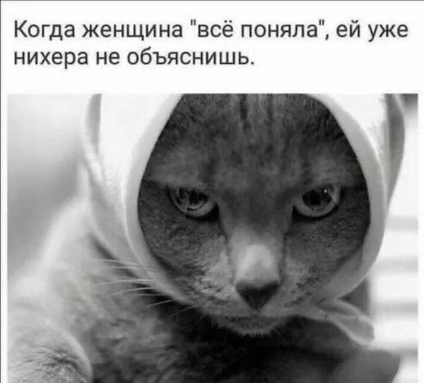 Картинки для деградации 221 (разной степени свежести)