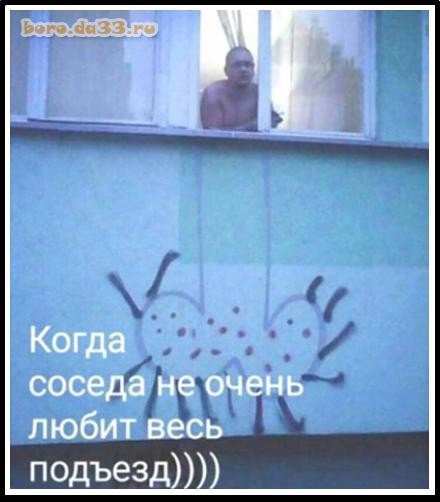 Веселые картинки в понедельник (13.07)