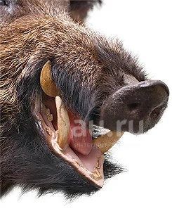 Эдик