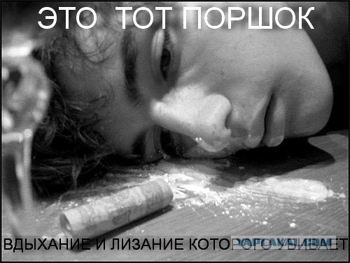 Противникам ДогХантеров