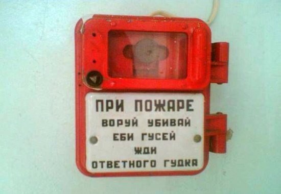 Про гусей и кур