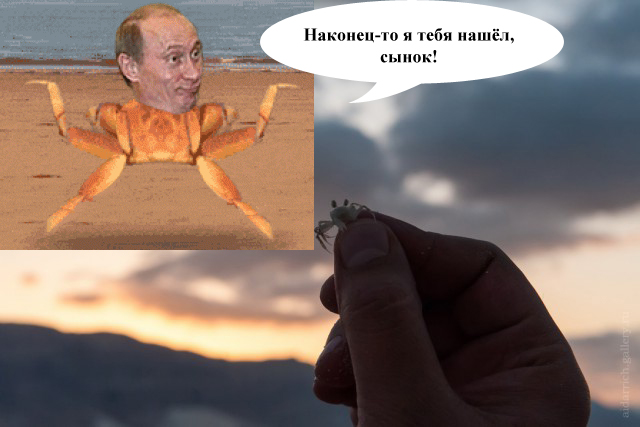 Путешествие в Йемен