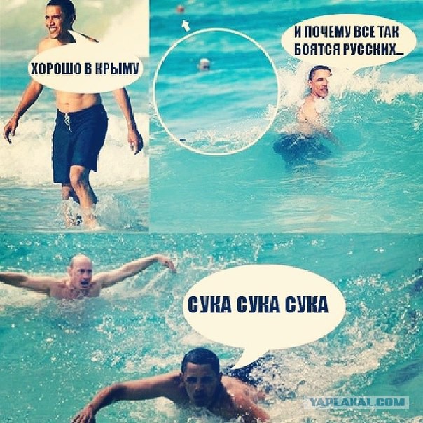 Комменты из соцсетей