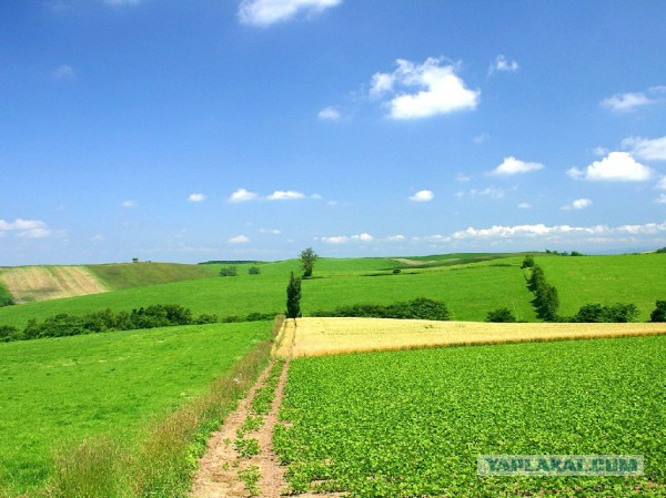 Кому юки отсыпать?