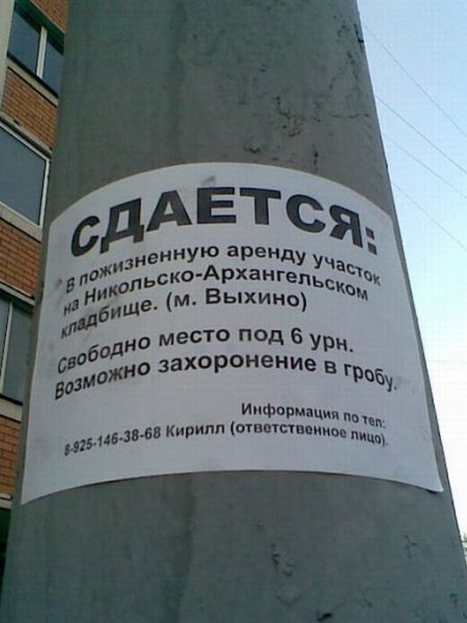 Объявления, анонсы из сети.