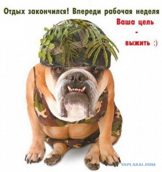 Чёрт, чёрт, чёрт!