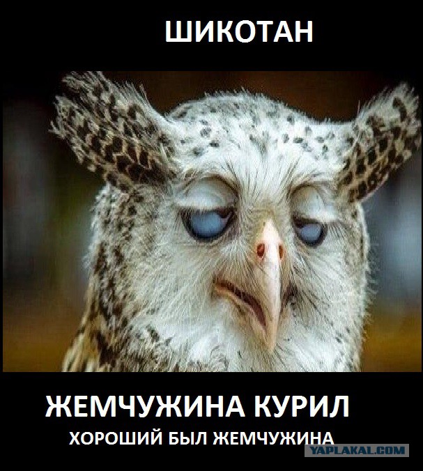 Шикотан, жемчужина Курил.
