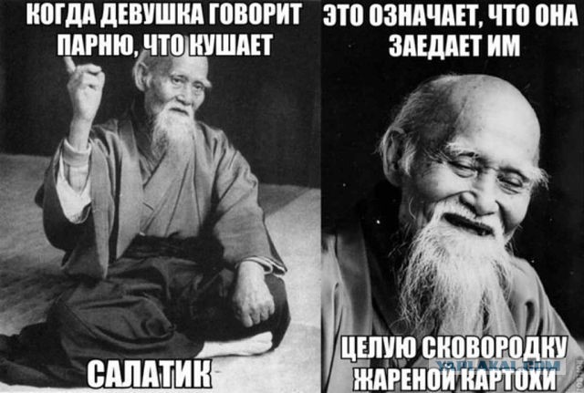 Весёлое из сети
