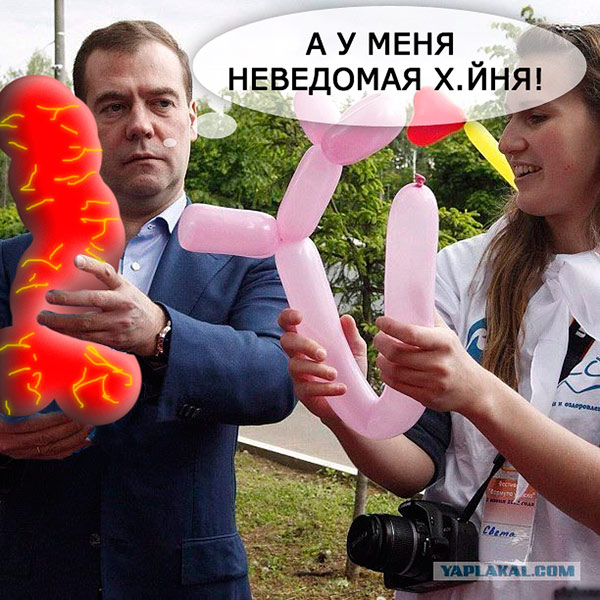 Медведев сделал голубую собачку