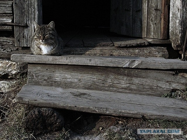 Россия в фотографиях, первая половина 2012