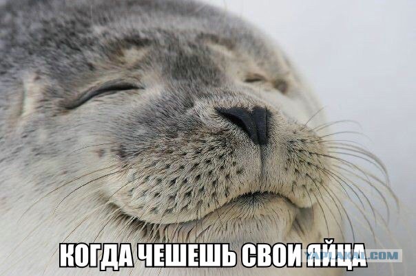 Рубика 80 lvl.