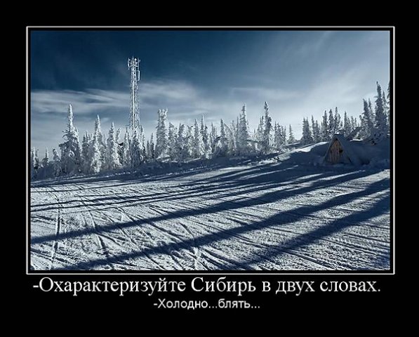Вся сущность Сибири в одной картинке