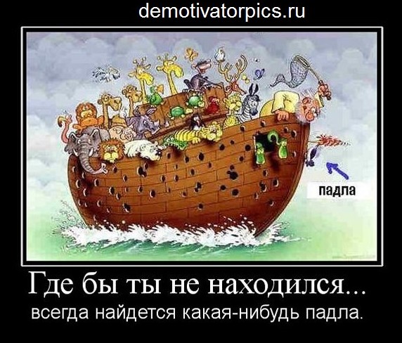 Дятел в замедленной съемке