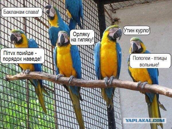 Россия — не Украина!