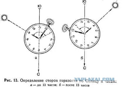 Тест на главные навыки выживания