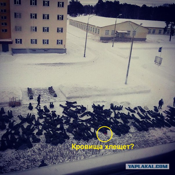 Когда мать приехала к сыну в армию