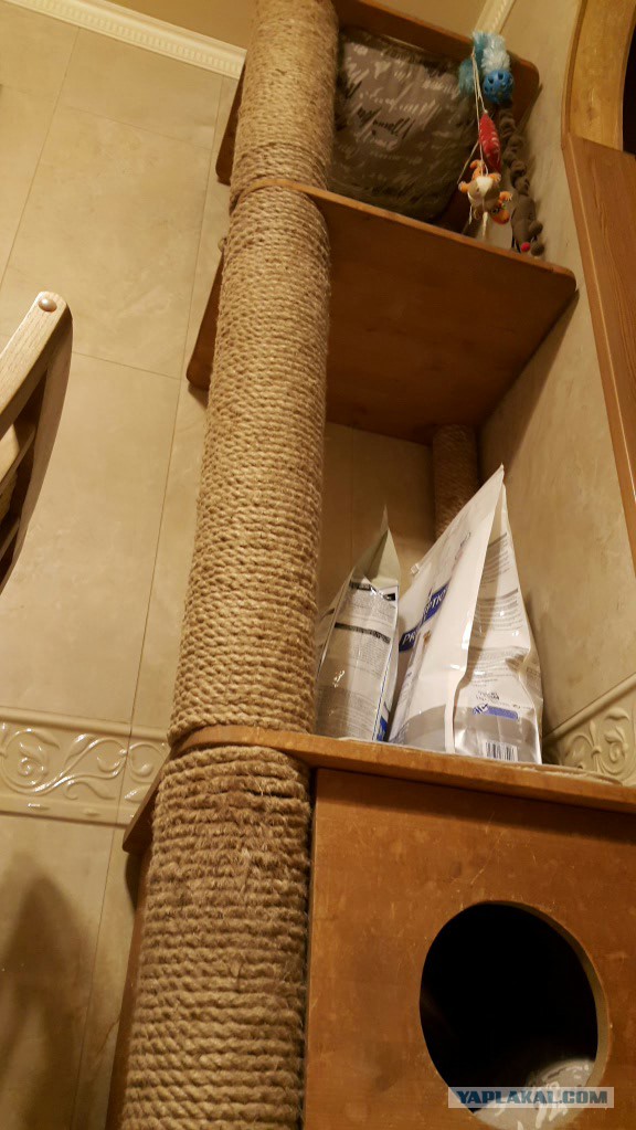 Воссоединение Кота с батареей.
