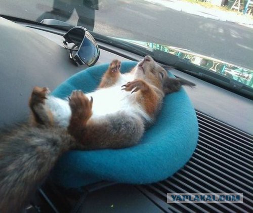 Подборка картинок