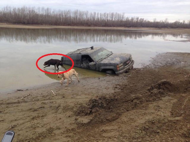 Дерьмо случается