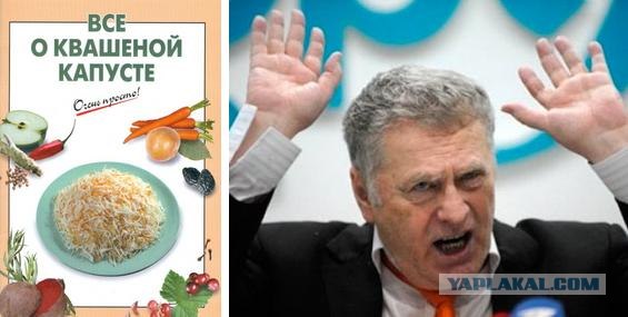 В Жириновского бросили капустой