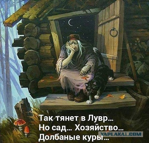 Абсурдный юмор ч.24