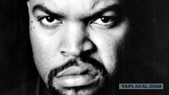 Страшно красивые терьеры